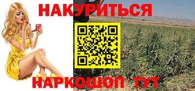 сатива Коммунар