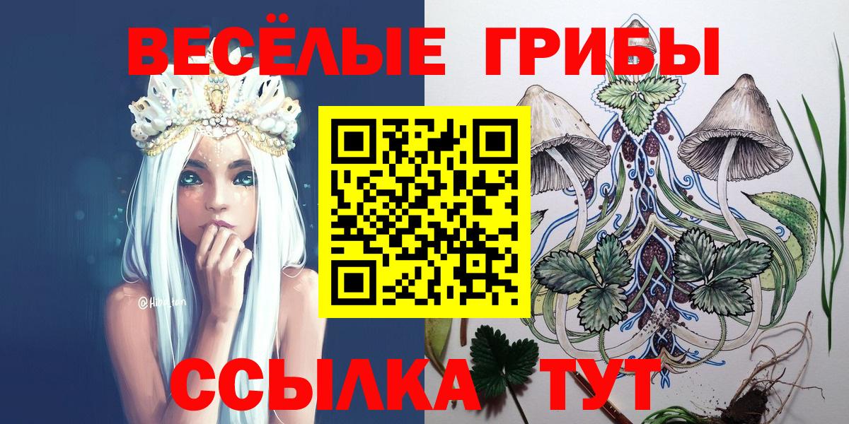 Псилоцибиновые грибы Cubensis  Вход с VPN  Тулун  Псилоцибиновые грибы прущие грибы 
